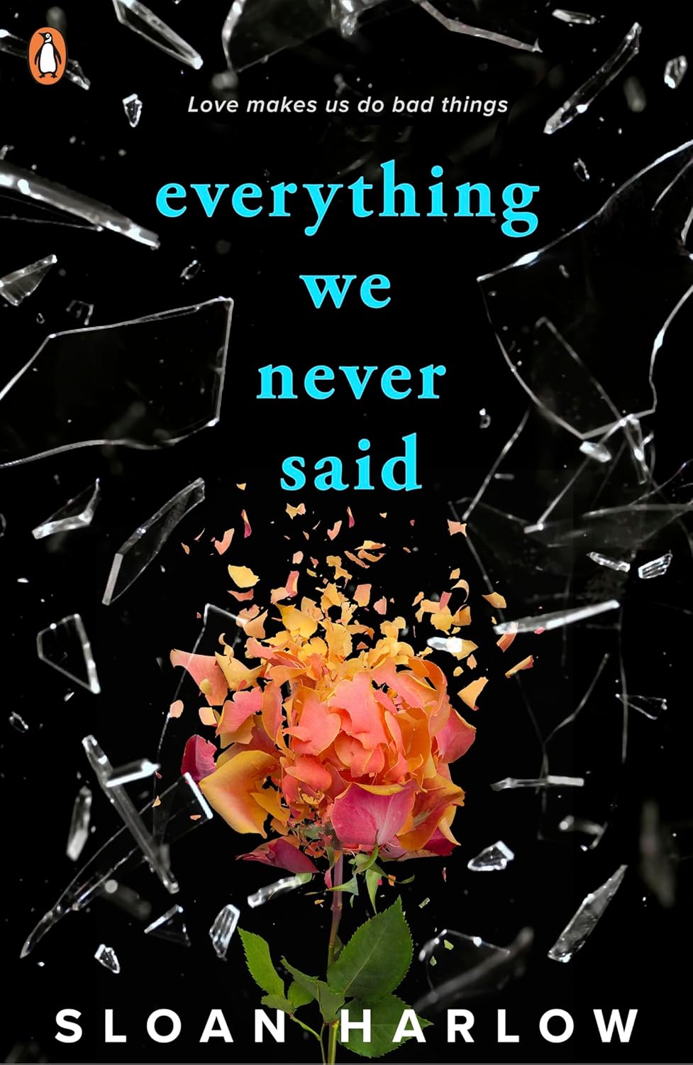 Everything We Never Said - Sloan Harlow - 9780241702598 - Penguin Books