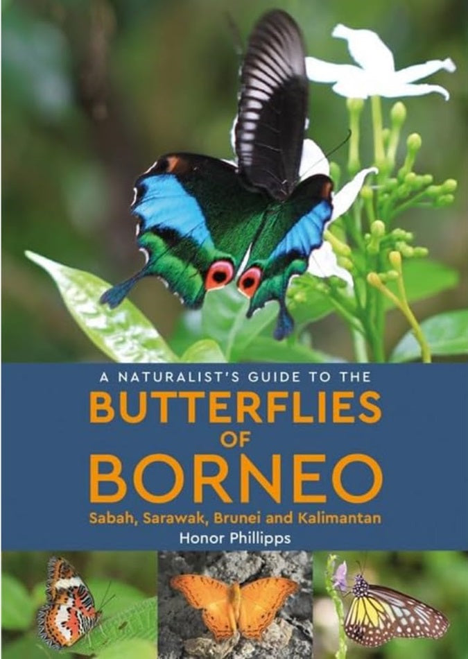 A Naturalist's Guide to the Butterflies of Borneo - Honor Phillipps - 9781906780692 - John Beaufoy Publishing