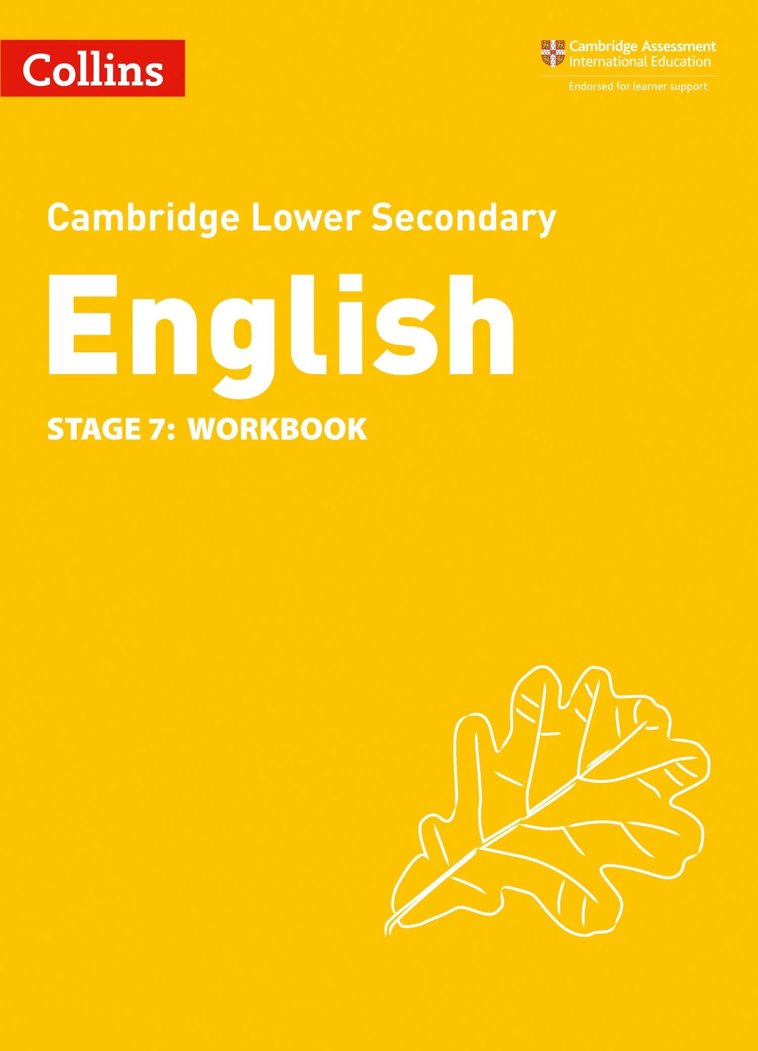 MIS - Lower Secondary English Workbook : Stage 7 - Richard Patterson - 9780008364175 - HarperCollins