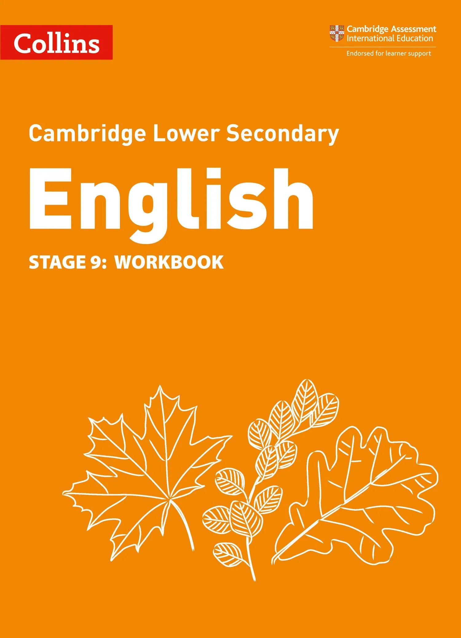 Lower Secondary English Workbook : Stage 9 - Alison Ramage - 9780008364199 - HarperCollins Publishers